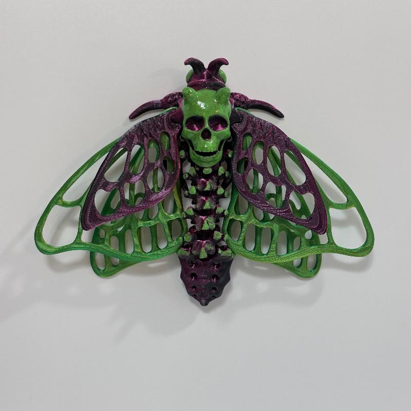 Large Silky Red Green Dead Head Moth 3D Printed Fidget Magnet
