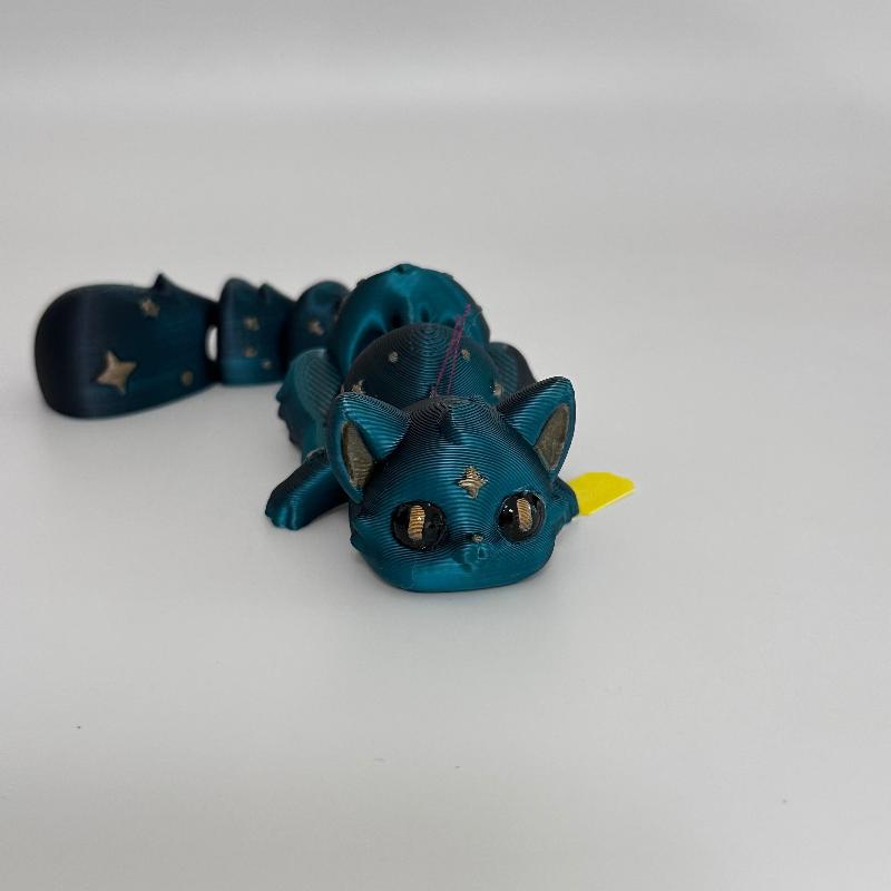 C24 Teal Cat Fidget