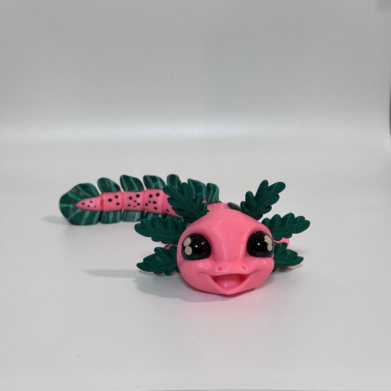 A26 Watermelon Axolotl