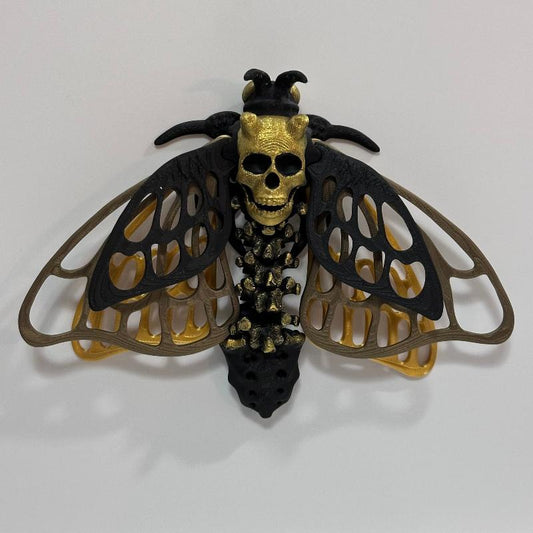 DM5 Black Gold Dead Head Butterfly Moth