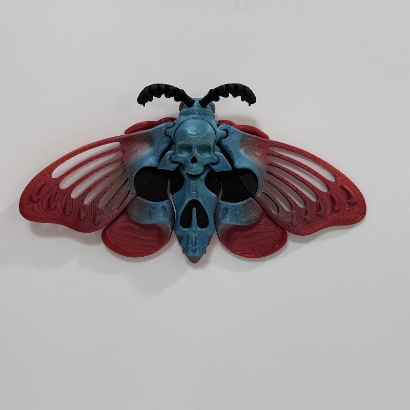 Large Orange and Blue Dead Head Moth 3D Printed Fidget Collectable