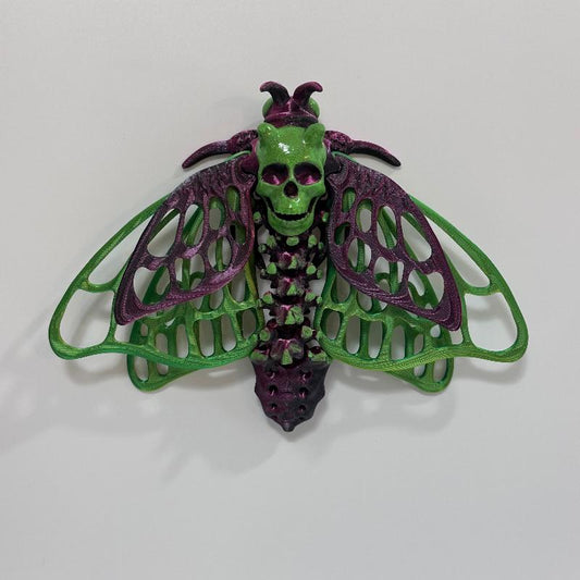 DM10 Red Green Dead Head Butterfly Moth