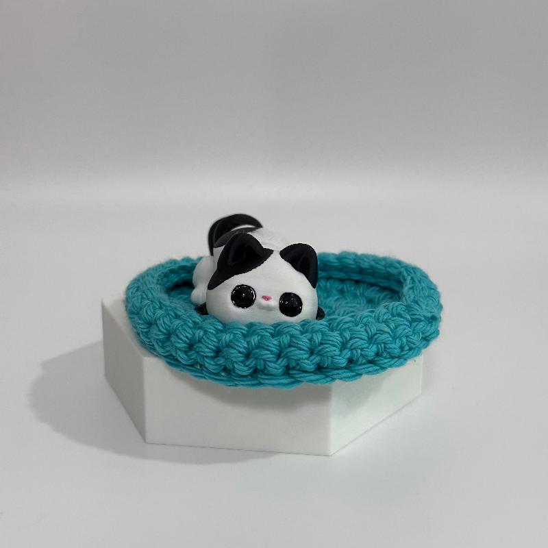 C42 Black White Fidget Cat & Teal Bed