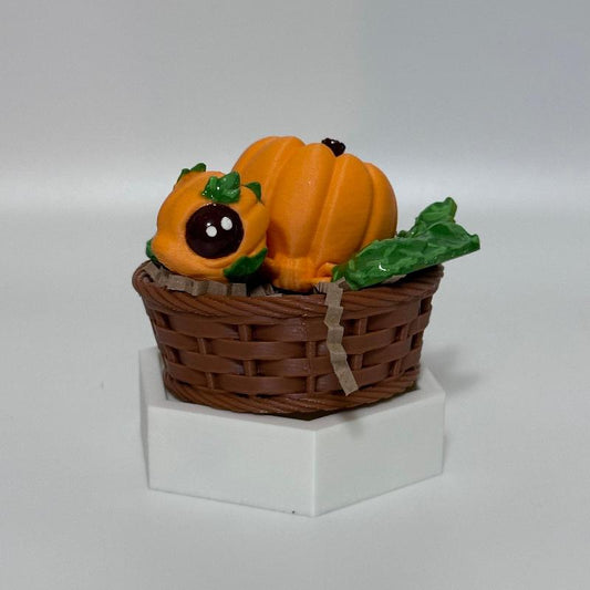 T17 Orange Pumpkin Turtle with Crate Fidget