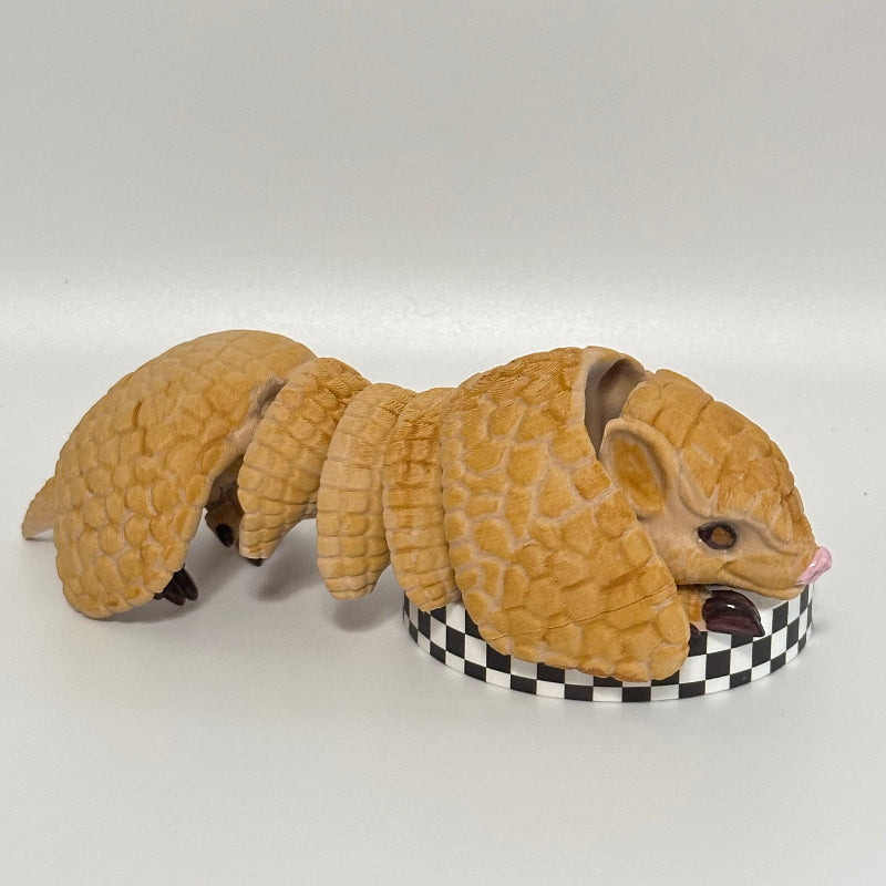 Roly Poly Armadillo 3D Printed Fidget Collectable