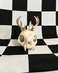 jackalope skull on a black and white checkered background