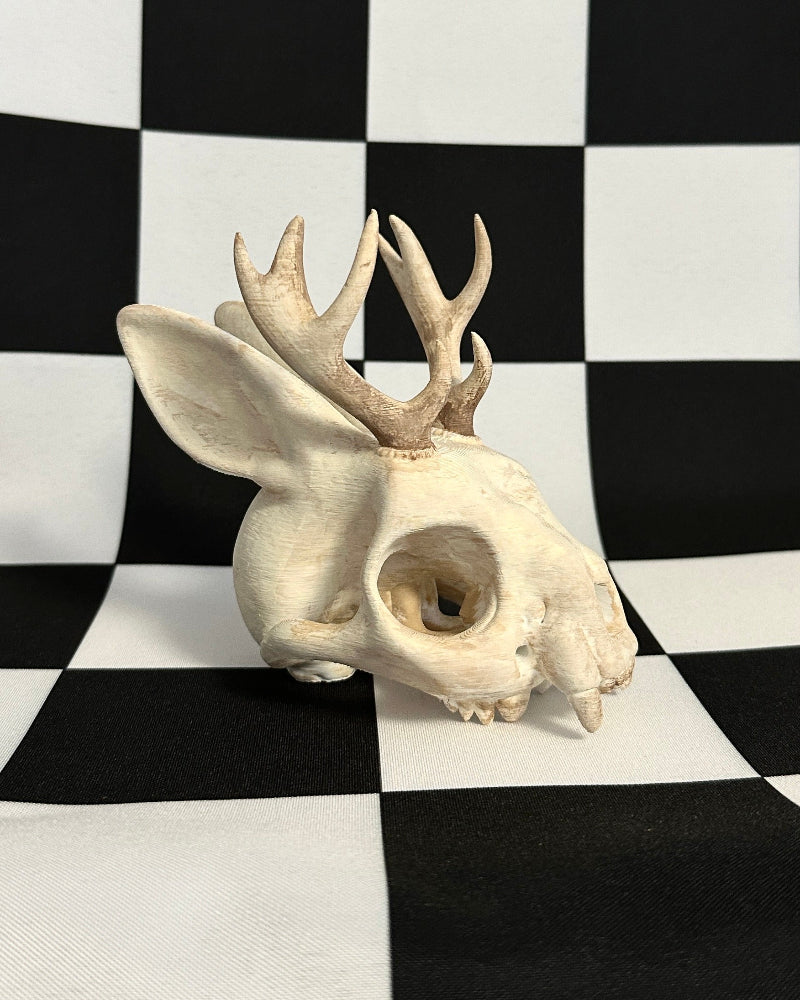 jackalope skull with antlers on a black and white checkered background