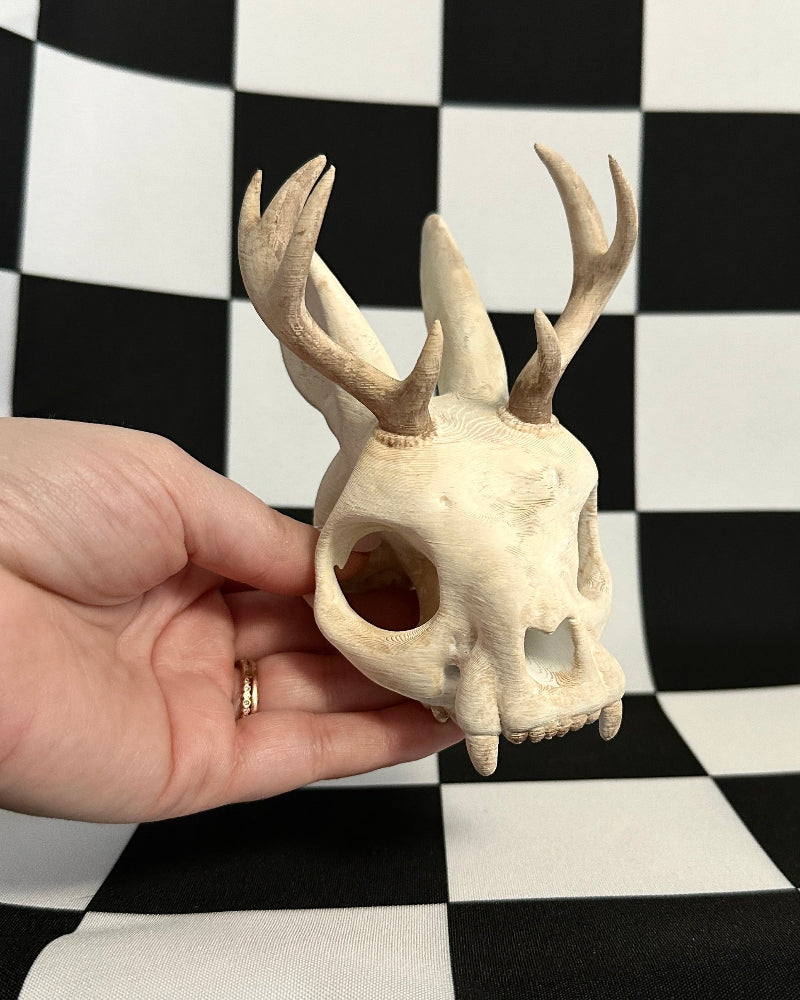 Hand holding a small jackalope skull against a black and white checkered background