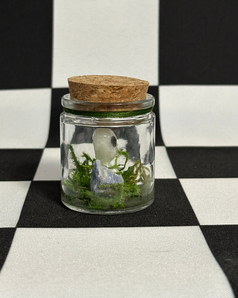 Kodama_Terrarium_Version_1_Glow-in-the-Dark_Forest_Spirit_Mini_Display