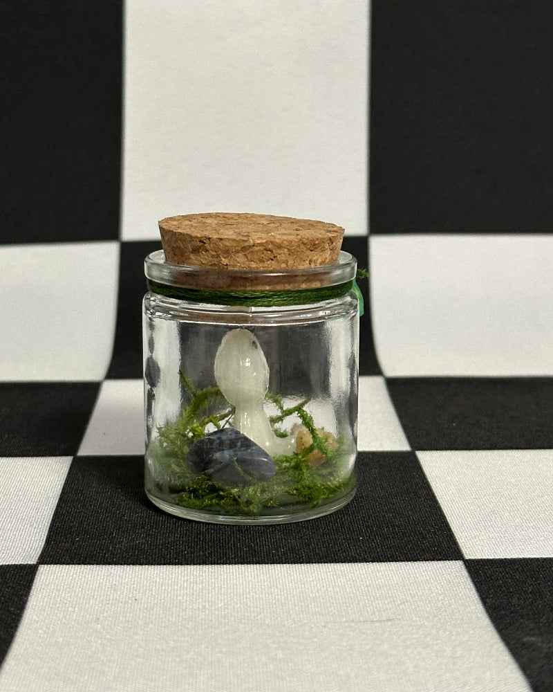 Kodama Terrarium – Version 3 | Glow-in-the-Dark Forest Spirit Mini Display