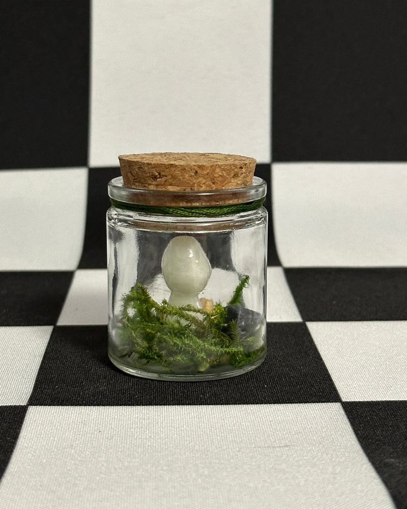 Kodama Terrarium – Version 3 | Glow-in-the-Dark Forest Spirit Mini Display