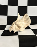bat Skull on a black and white checkered background