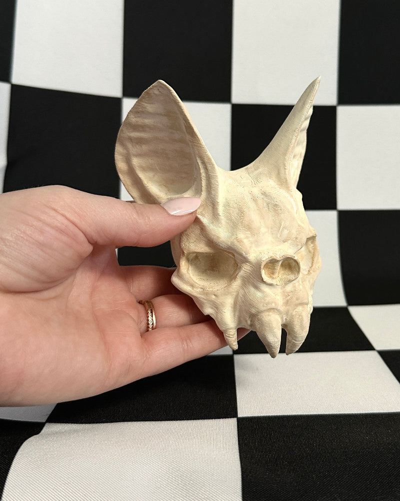 Hand holding a small bat skull against a black and white checkered background