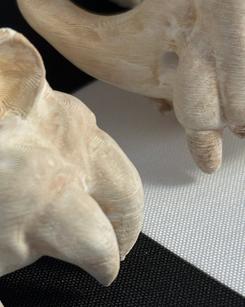 Close-up of beige bat skull figurines on a black and white striped surface